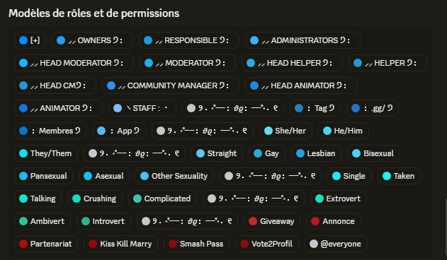 Exemple de rôles et permissions sur un serveur Discord, avec des rôles colorés et hiérarchisés